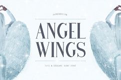 Angel Wings Product Image 1