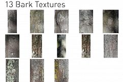 13 Bark Textures Product Image 1