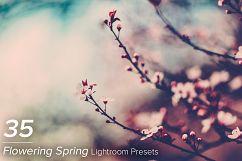 35 Flowering Spring Lightroom Presets Product Image 1