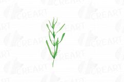 Lavender leaves and bouquets watercolor clip art pack, Lavender design elements. PNG, jpg, svg, vector illustrator&amp; corel files included Product Image 10