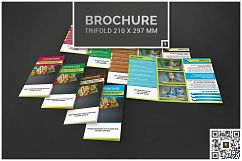 Geometric Stripe Bundle 60% SAVINGS Product Image 2