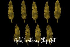 Gold Foil Feather Clip Art, 22 Transparent PNG Files Product Image 4
