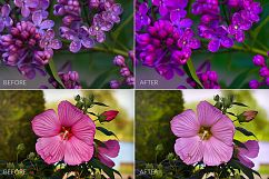 Flowers Lr Presets Product Image 7