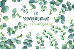 Eucalyptus leaves and branches watercolor clip art pack, Eucalyptus design elements. PNG, jpg, svg, vector illustrator &amp; corel files included Product Image 1