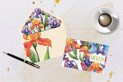 Orange and purple irises PNG watercolor set Product Image 7