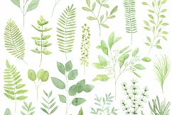 Big green set in watercolor Product Image 2