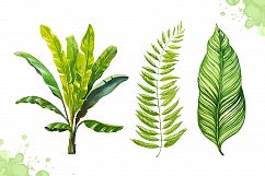 Watercolor tropical leaves set#2 Product Image 3