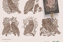 Owls Stories collection Product Image 3