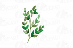 Wild leaves and flowers watercolor clip art pack Product Image 11
