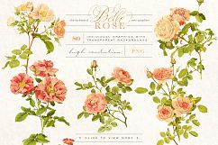 Belle Rose Antique Graphics Bundle Product Image 9