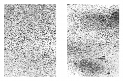 Subtle Paint Splatter Vol. 2 Product Image 12