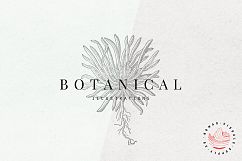 Premium Botanical Illustrations - Plants Product Image 1