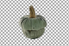 Watercolor pumpkin clip art pack, Pumpkin plant and flowers Product Image 17