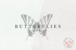 Premium Butterflies Illustrations Product Image 1