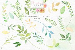 Flower Market Watercolor Collection Product Image 21