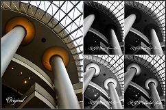 Infrared Monochrome Master Profiles LR7.3 ACR10.3 Product Image 19