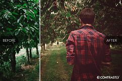 CineStock Photoshop Actions Product Image 3