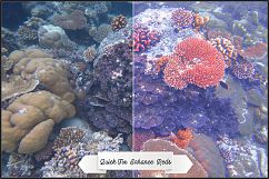 Underwater Fix Profiles for LR 7.3 &amp; ACR 10.3 Product Image 12
