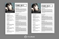 Himawari Resume / CV Product Image 4