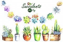Watercolor Succulents Clip Art Set Product Image 2