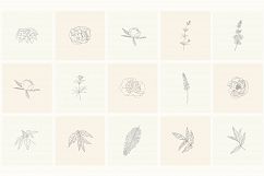 165 Hand Drawn Floral Elements, Frames. Product Image 6