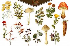 Field &amp; Forest Vintage Botanical Graphics Product Image 5