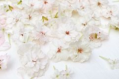 Styled photos bundle Product Image 7