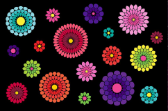 Flower Petal Brushes Product Image 3