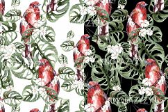 Hand Drawn Watercolor Tropic 3 Product Image 9