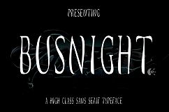 Busnight Font Duo Product Image 11