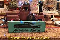 American Muscle Product Image 10