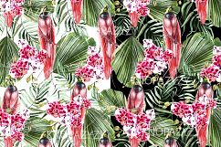 Hand Drawn Watercolor Tropic 3 Product Image 8