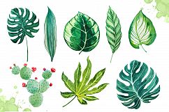 Watercolor tropical leaves set#2 Product Image 4