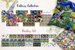Watercolor cool parrot PNG bird set Product Image 3