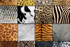 Animal Skin Textures Digital Paper Product Image 2
