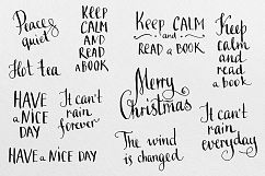 Watercolor animal. Mr. Beaver. Product Image 6