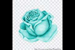 100 Watercolor Roses Clip Arts, Romantic Valentine Scrapbook Product Image 2