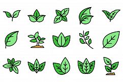 Basil icons set vector flat Product Image 1