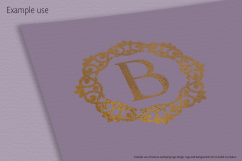 Shiny Gold Foils Product Image 8