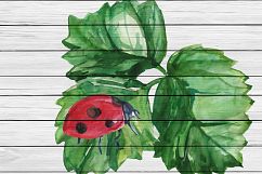 Watercolor Strawberry Clip art Product Image 7