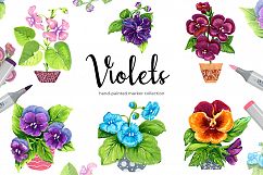 Violets Product Image 1