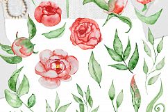 Watercolor peonies romantic floral clipart Product Image 5
