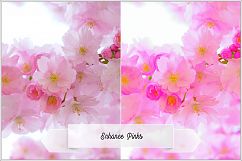 Incredible Flowers Profiles LR7.3 ACR10.3 Product Image 22