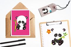  Baby Panda graphics and illustrations Product Image 4