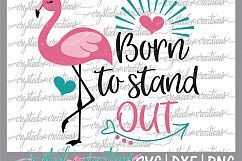Flamingo Bundle Product Image 3