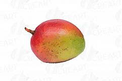 Watercolor Mango clip art pack, mango leaves and fruit  Product Image 4