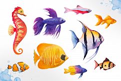 Aquarium fishes. Watercolor. Product Image 2