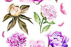 Hand Drawn Watercolor BUNDLE 4 Product Image 10