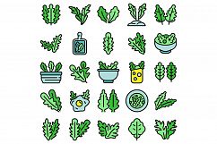 Arugula icons set vector flat Product Image 1