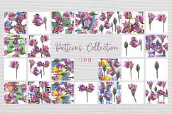 Purple amaryllis PNG watercolor set Product Image 9